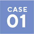 case 01